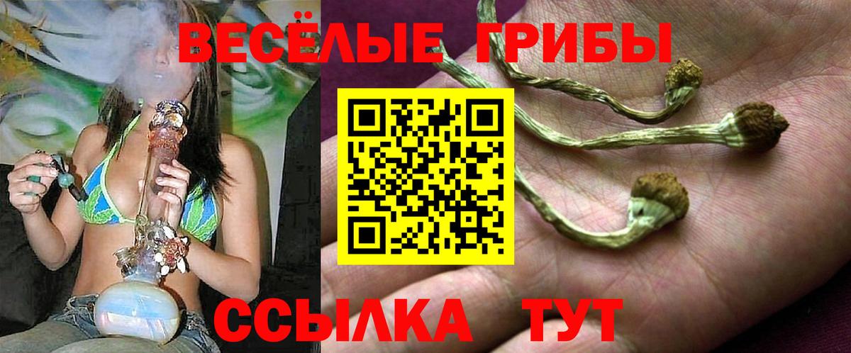 Псилоцибиновые грибы мухоморы  Псилоцибиновые грибы MAGIC MUSHROOMS  Лесосибирск  Вход с VPN 
